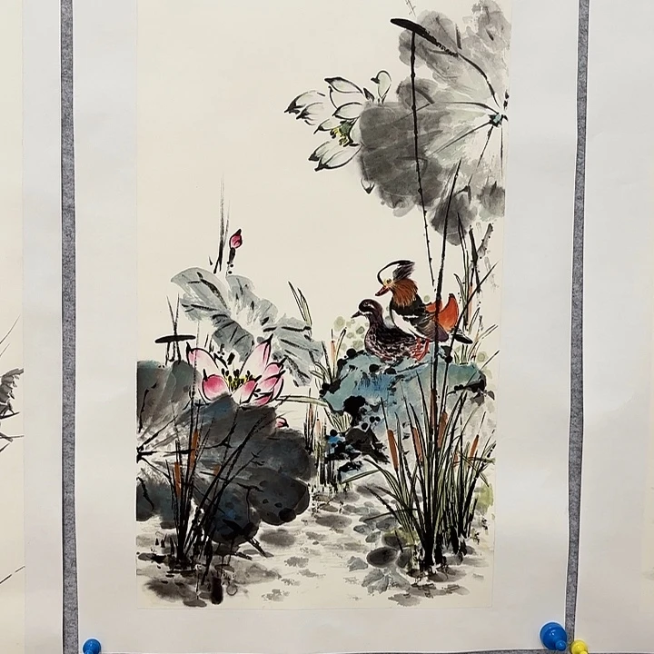 国画金**园花鸟等多种鸟类和鸟类为