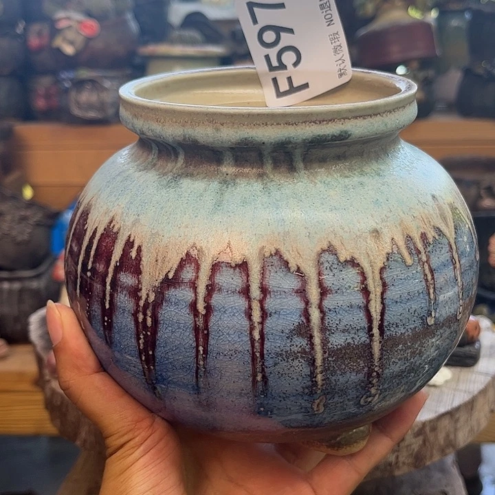 哈哈这几天也没吃597