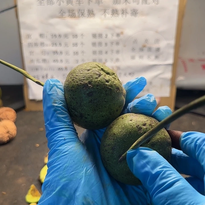 吊坠文玩核桃白狮子大2颗净果60