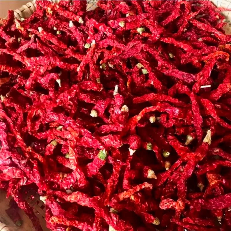 特香微辣农家干辣椒河西走廊精品线椒100g