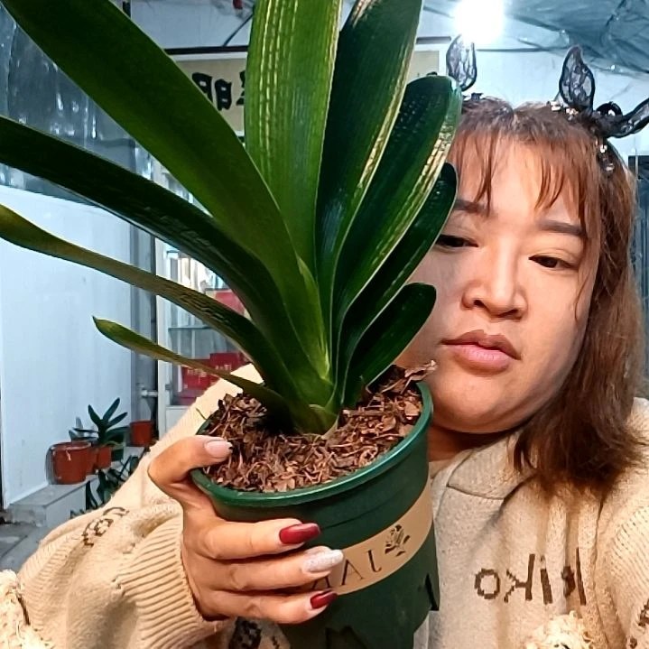 用***2明月一颗4211福利188