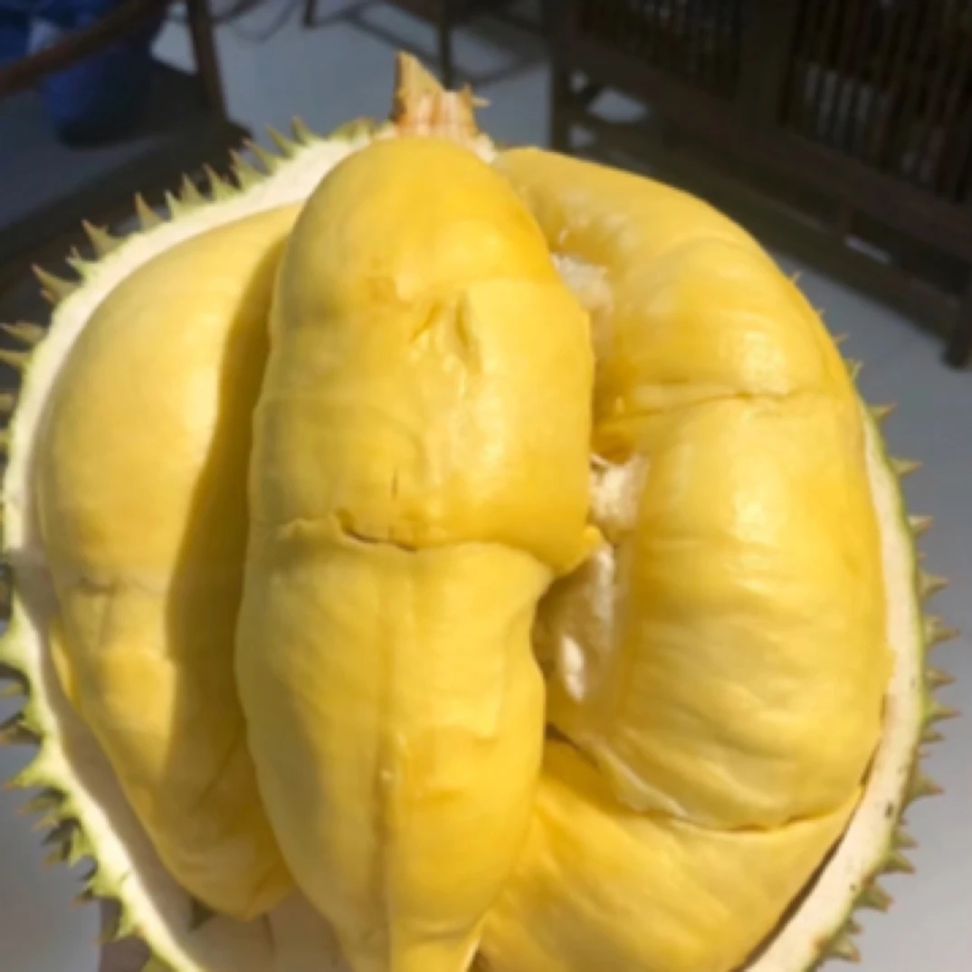 2号果泰国新鲜金枕榴莲5.5-6.5斤一果一拍，核小金枕泰国