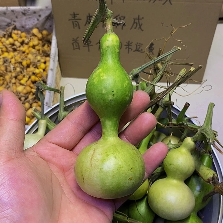 宋***6长嘴就哈哈哈哈哈哈哈哈哈哈哈哈好