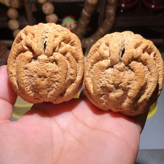 猪***朱吊坠橄榄核乾坤鬼脸核桃52
