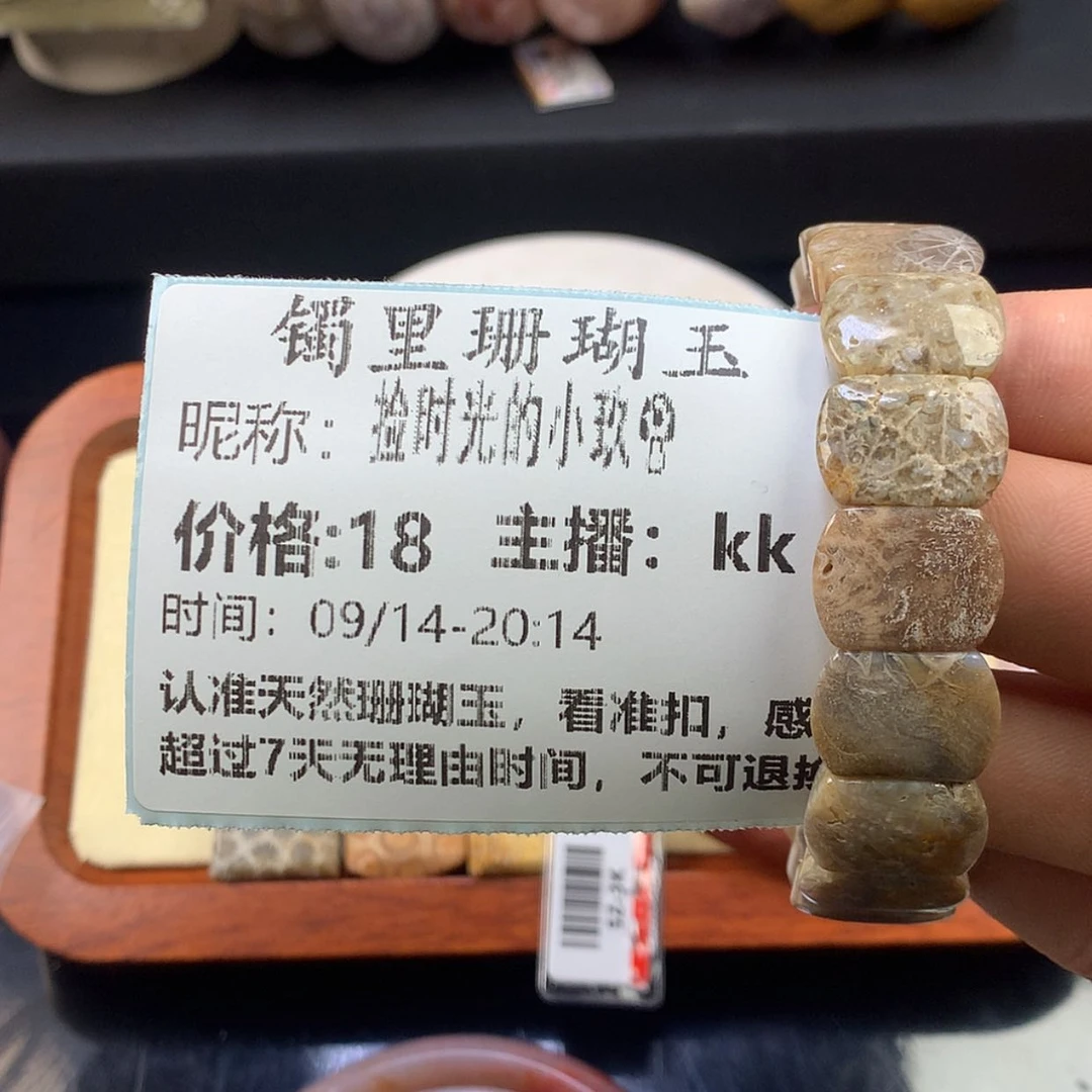 【闪购商品】颈饰未镶嵌硅化珊瑚（珊瑚玉）捡****?