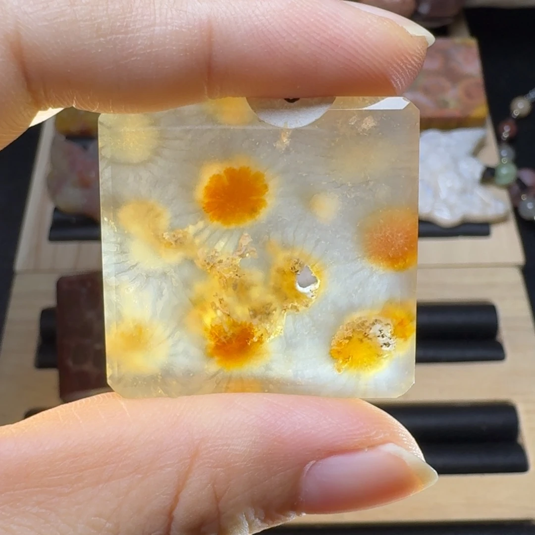未镶嵌敲特别的骨骼标本，照骗硅化玉