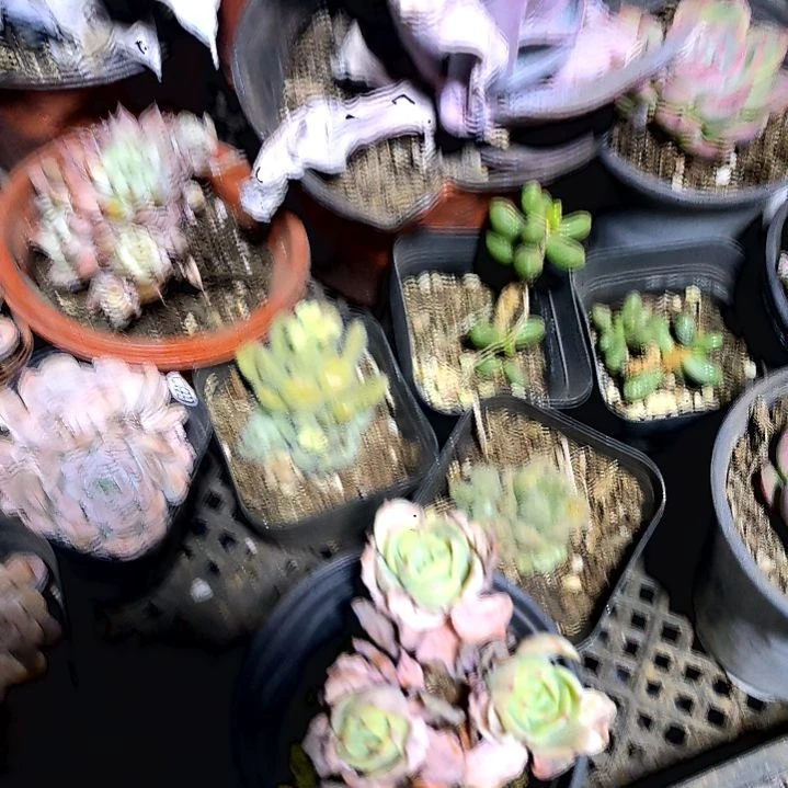 明***好满6元包邮，24号一物一拍无售后