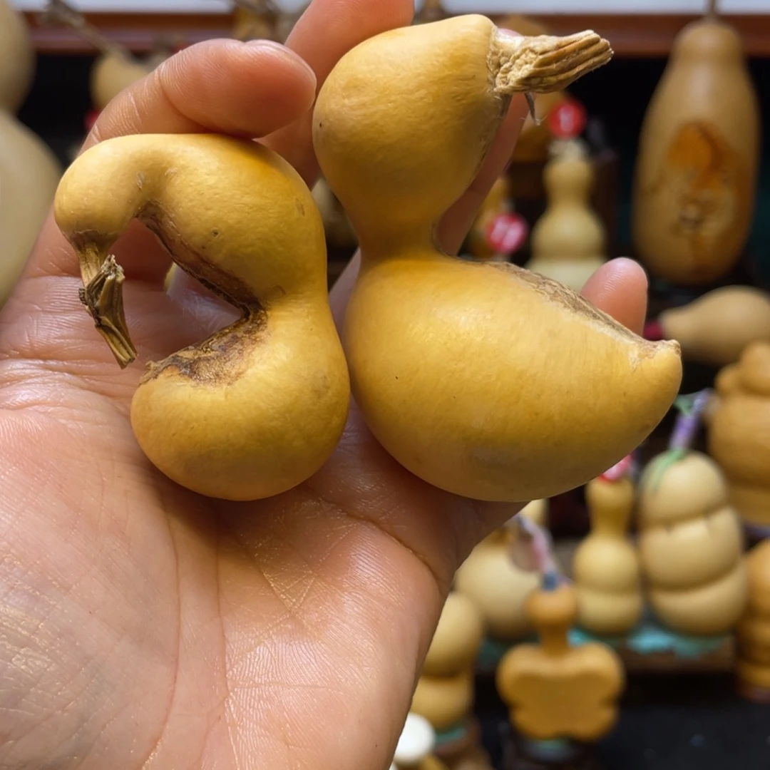 鲁****?葫芦笙等乐器演奏和演奏等方面都取得