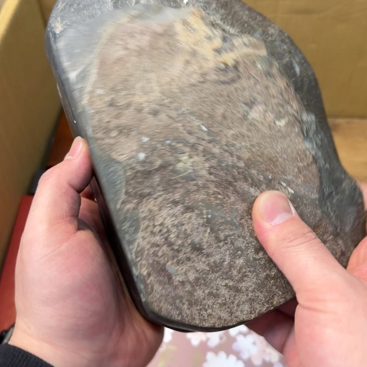 紫砂茶宠现代工艺美术作品