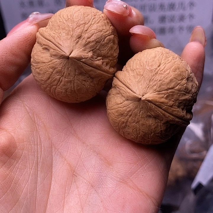 核桃云南野生铁核桃116号37mm