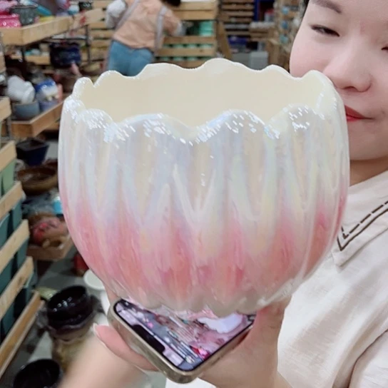 花盆凑单福利满10元发货！
