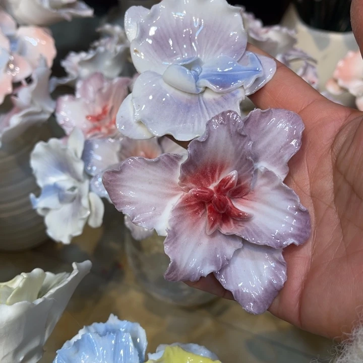 瓷片55566665555555556