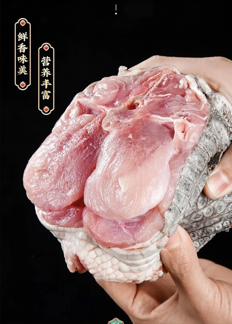鳄鱼肉一物一拍 新鲜现杀 苏西3