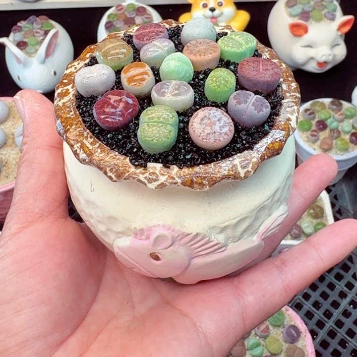 6012零下地区记得拍保温箱