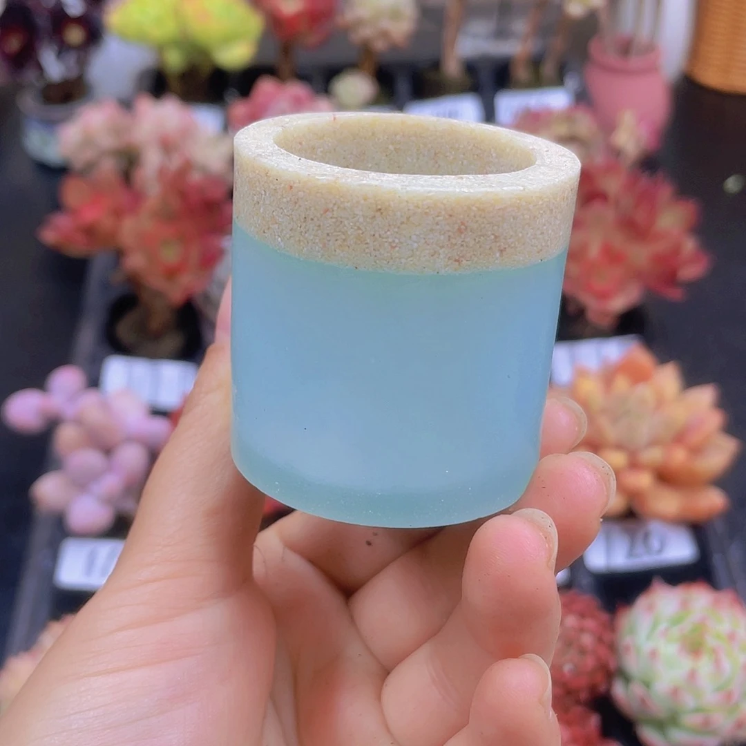 多肉无土栽培多肉植物