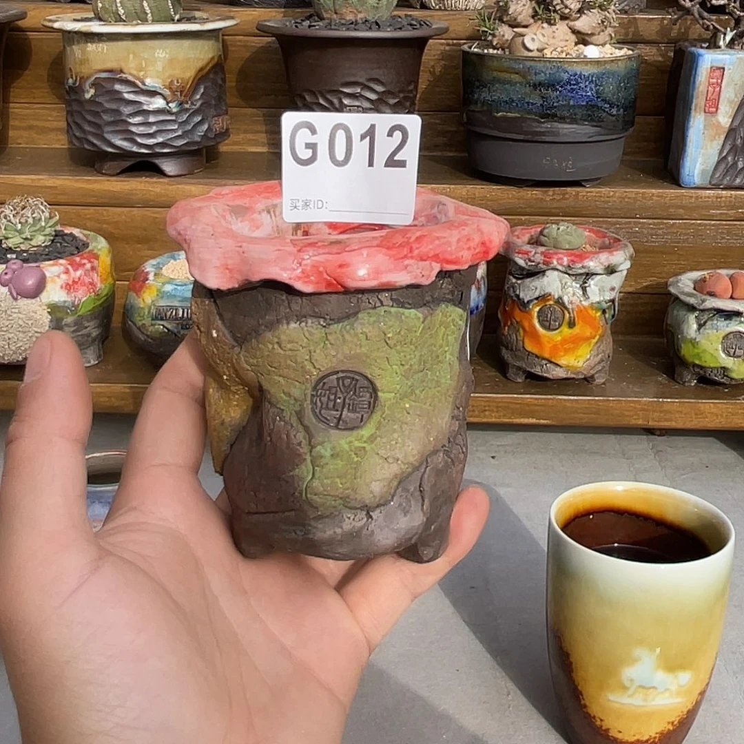 坛子姐多肉花盆内口5