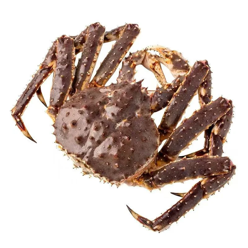 【南瓜鲸选】现场称重 整只俄罗斯帝王蟹 液氮活冻  顺丰快递