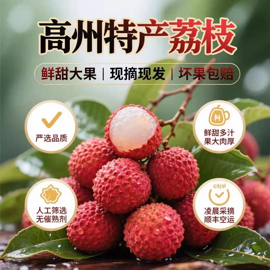 高州桂味荔枝头茬果新鲜开园肉厚核小香甜爆汁当季水果