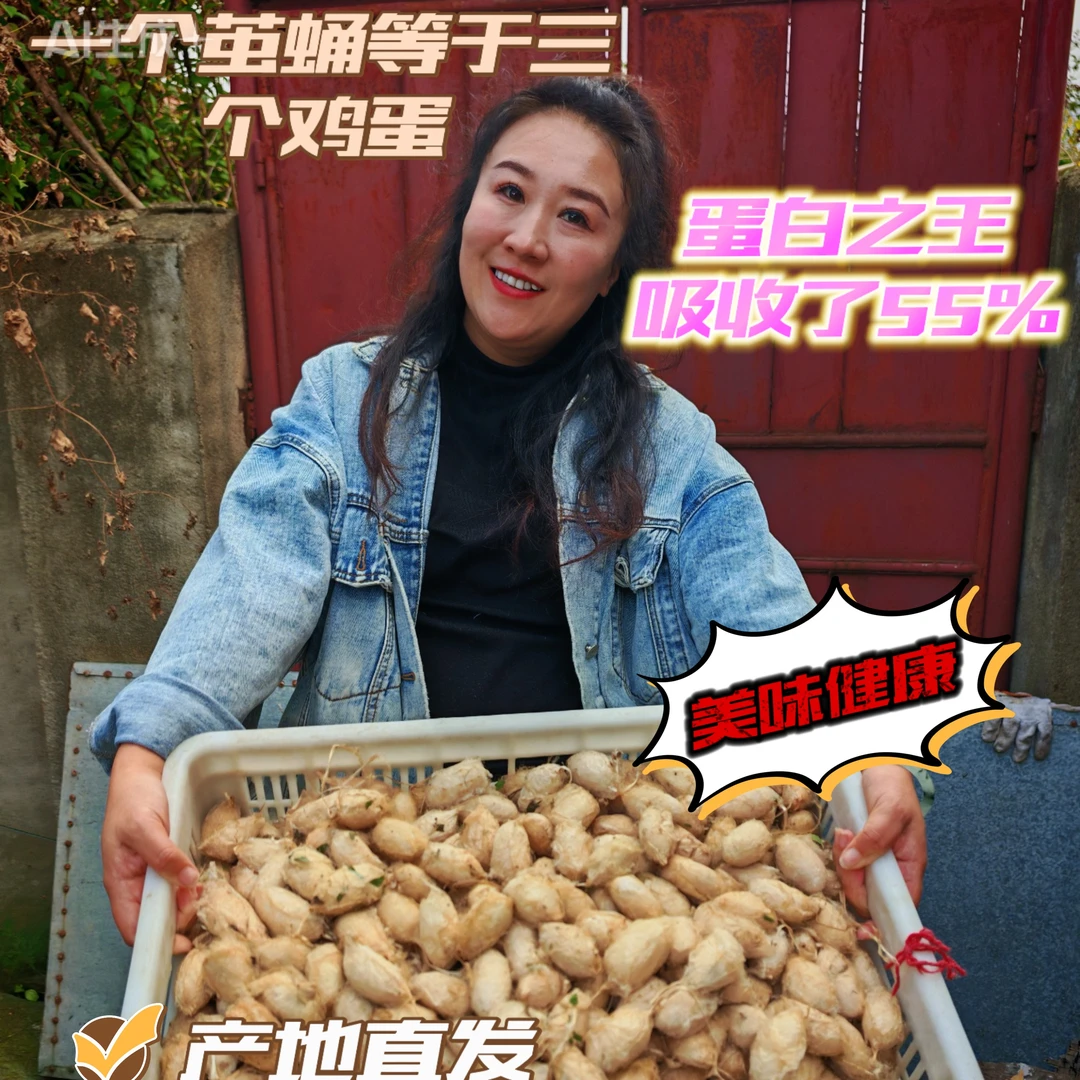 《诺姐专卖》东北茧蛹产地直发，小黑蛹3cm到4cm保质保鲜60个左右