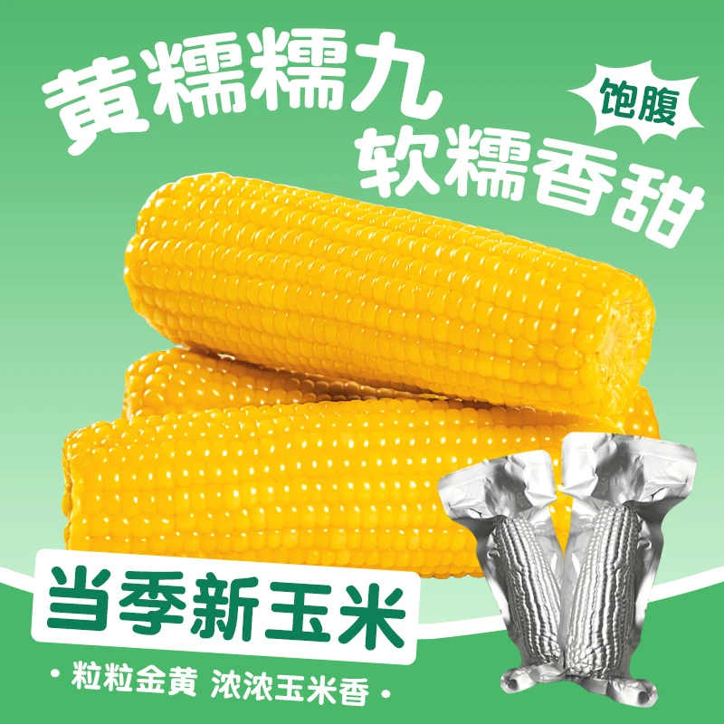 整箱14根铝箔25年头茬新玉米博斯糯9号 黄糯玉米东北玉米170-200g