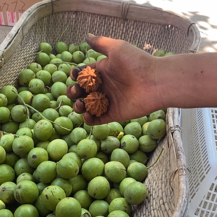 文玩核桃把件福利