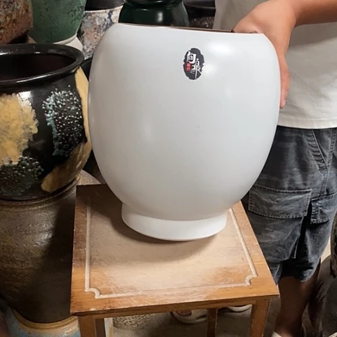 口21高度31白色888