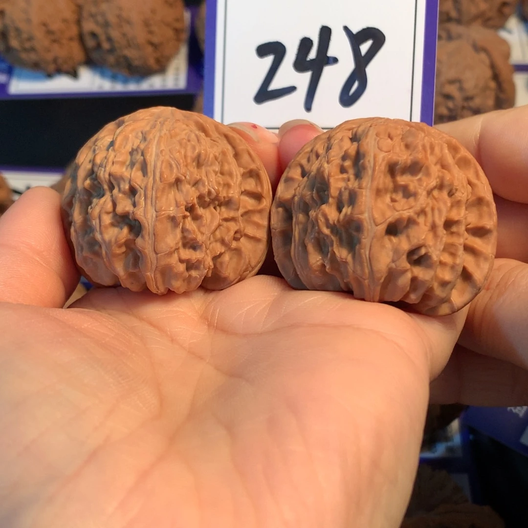 把件文玩核桃248白狮子4.2