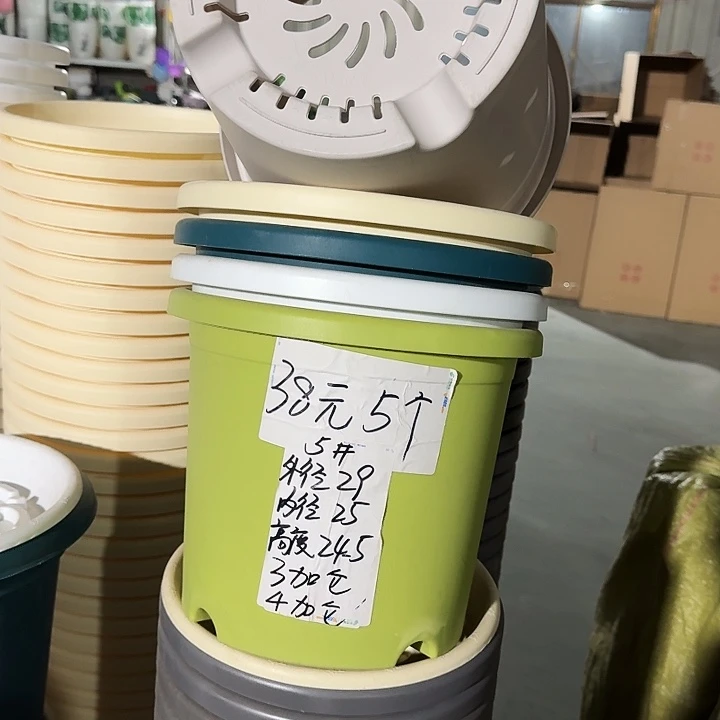 四季5#口径29果绿5个无托