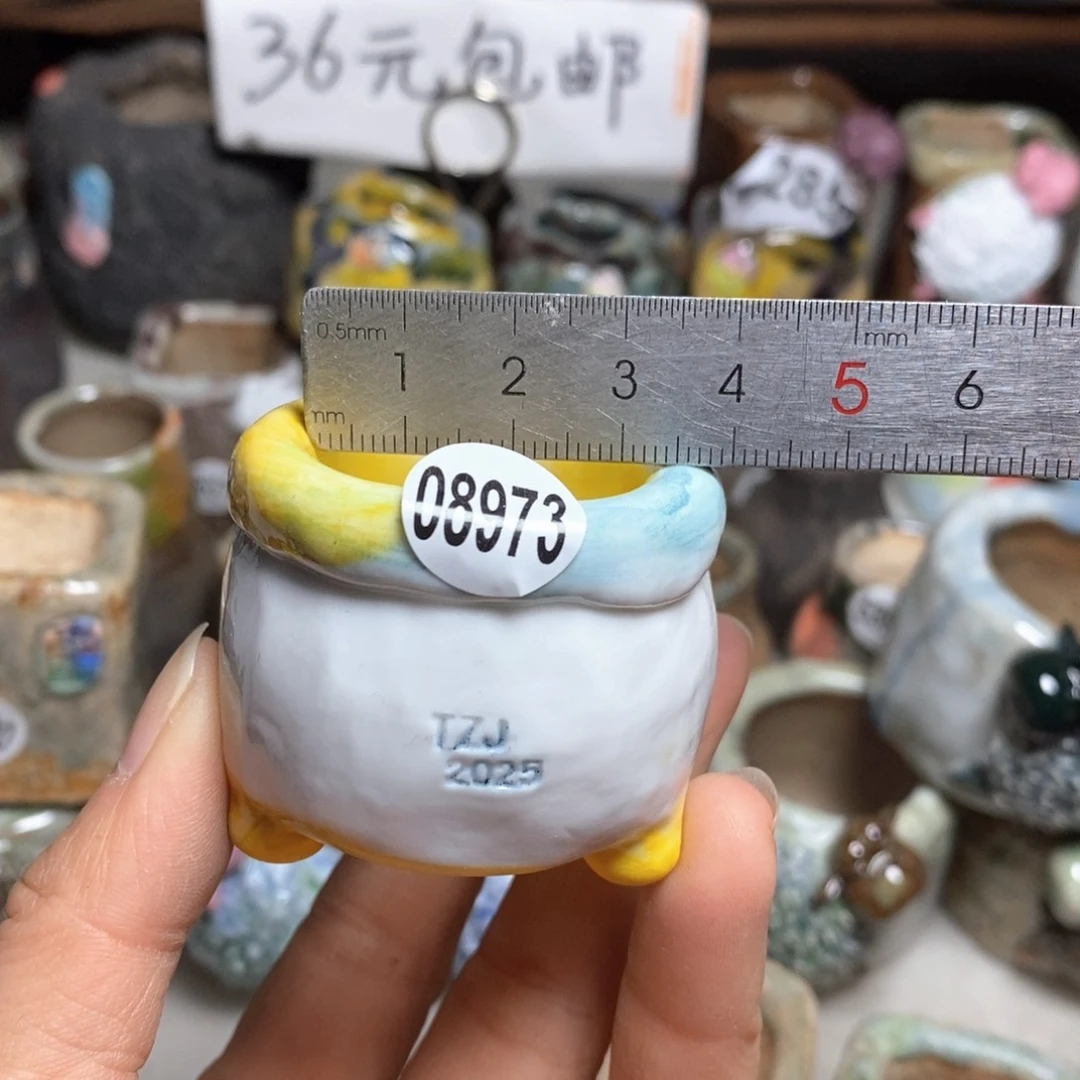 拍3送一个小礼物