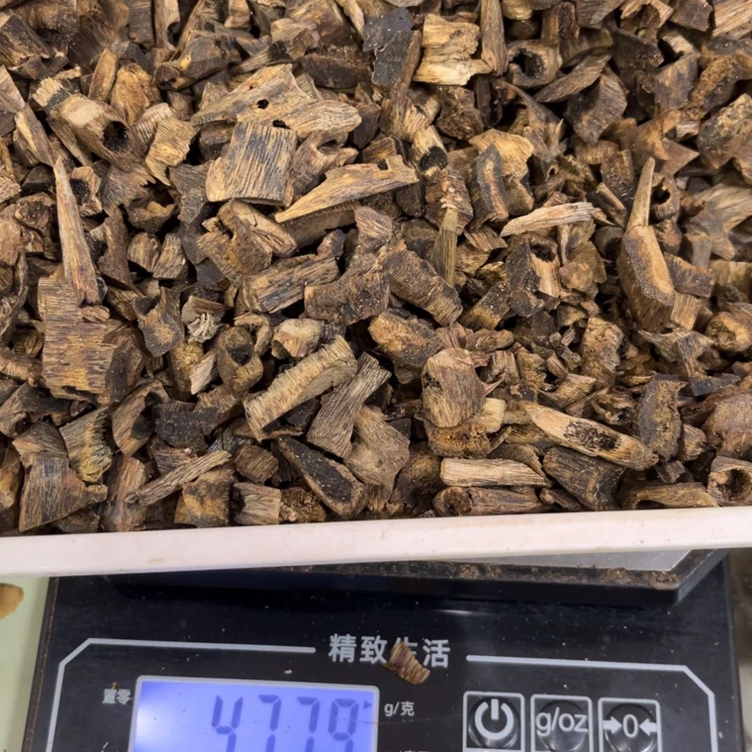灰***翅沉香摆件沉香棋楠碎478