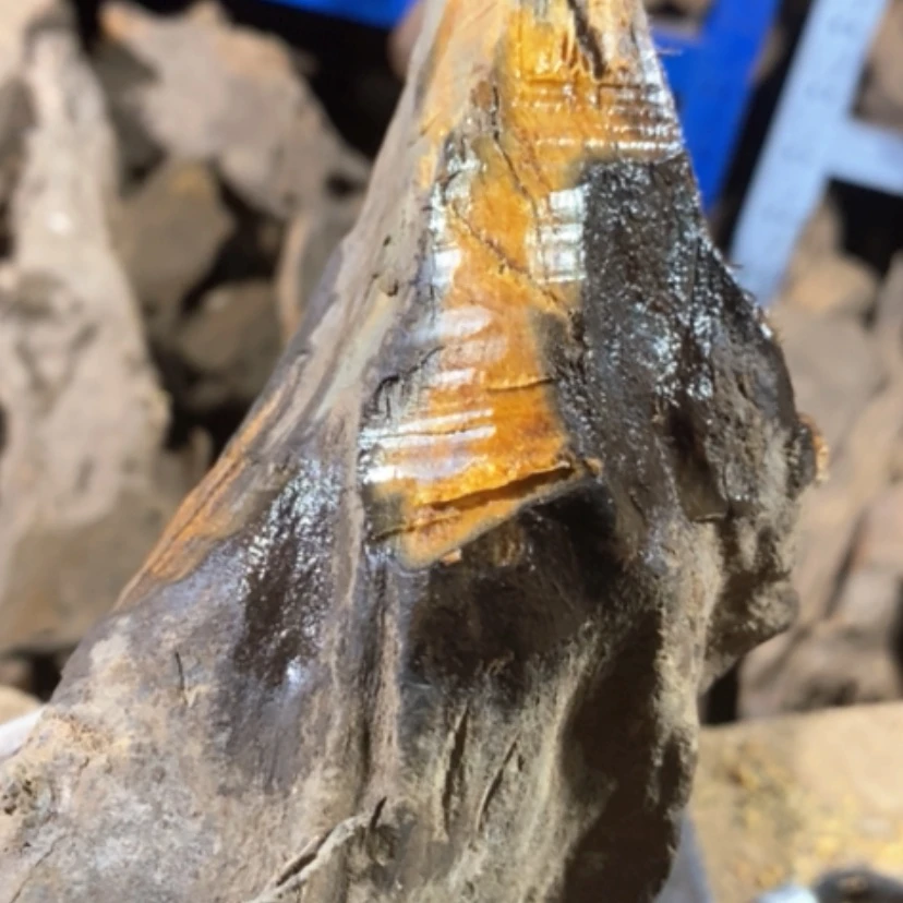 【闪购商品】贡木其他私人订制