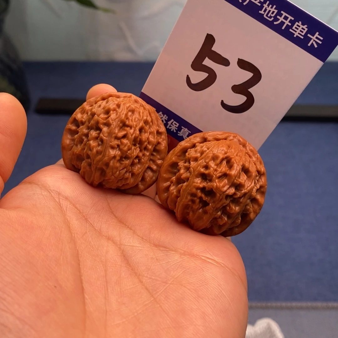 文玩核桃把件35白狮子一物一图