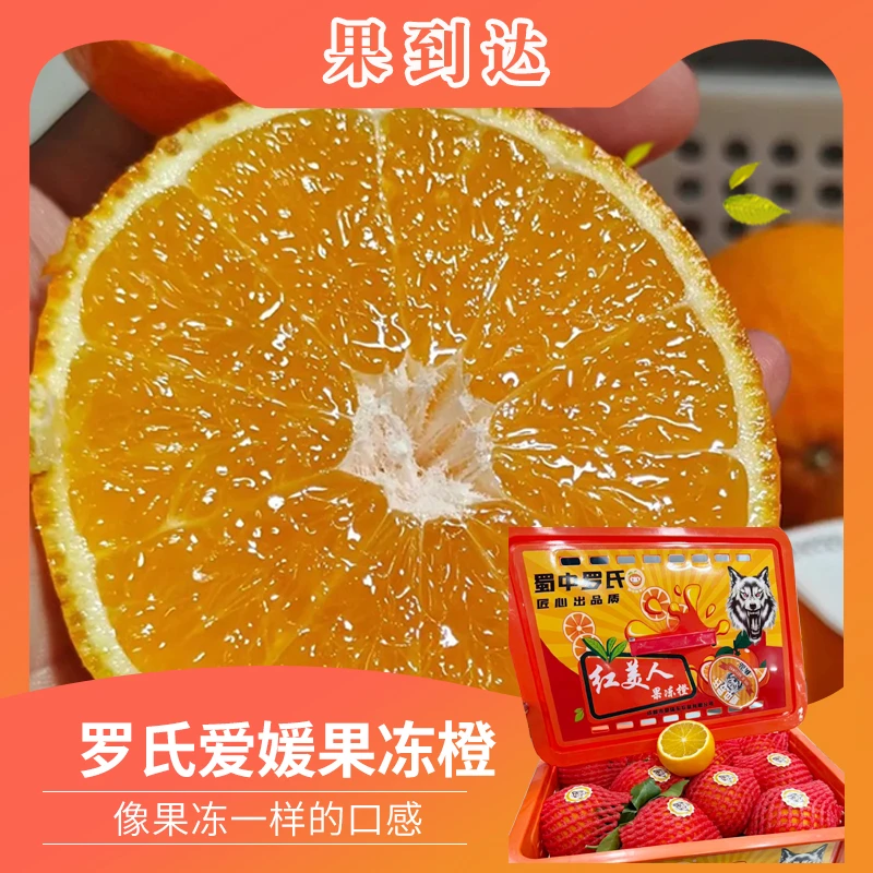 【坏果包赔】罗氏爱媛果冻橙红美人5斤