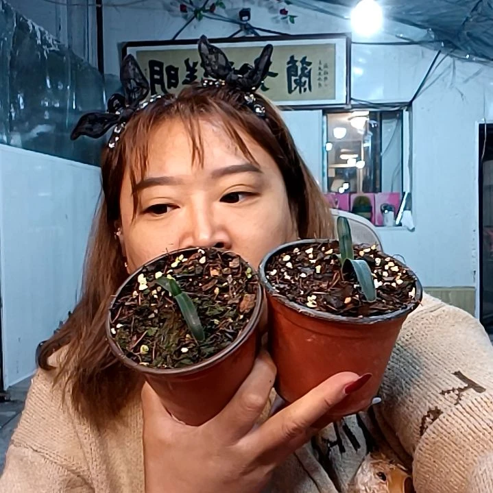 春***3春暖花开108毛两个