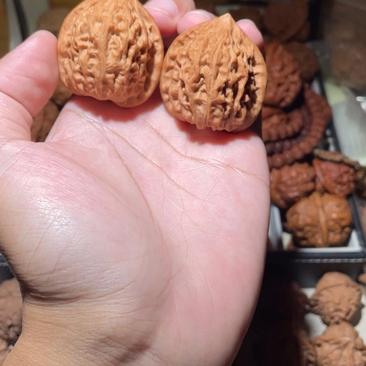 38尺寸全品头货金牛