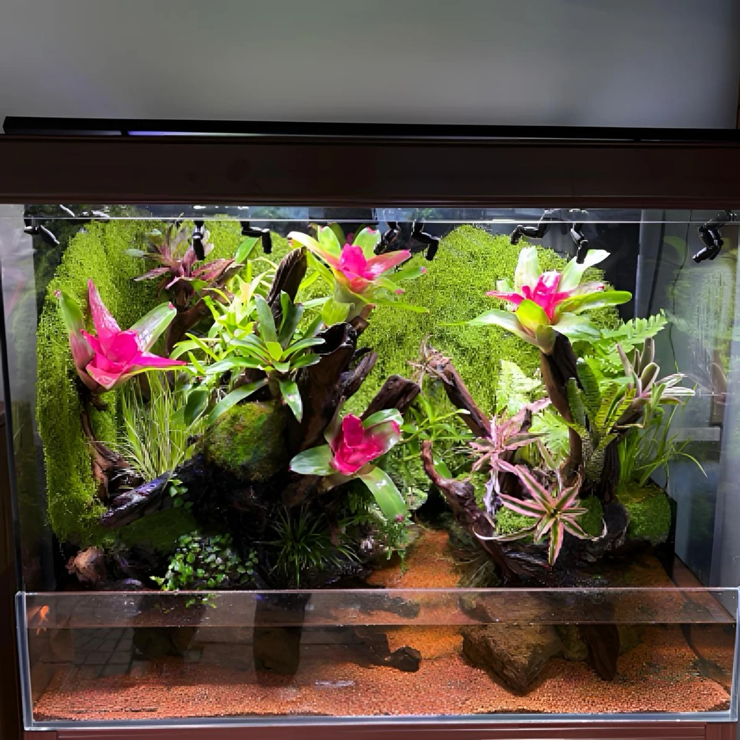 90雨淋缸景观室内装饰景观生态鱼缸造景