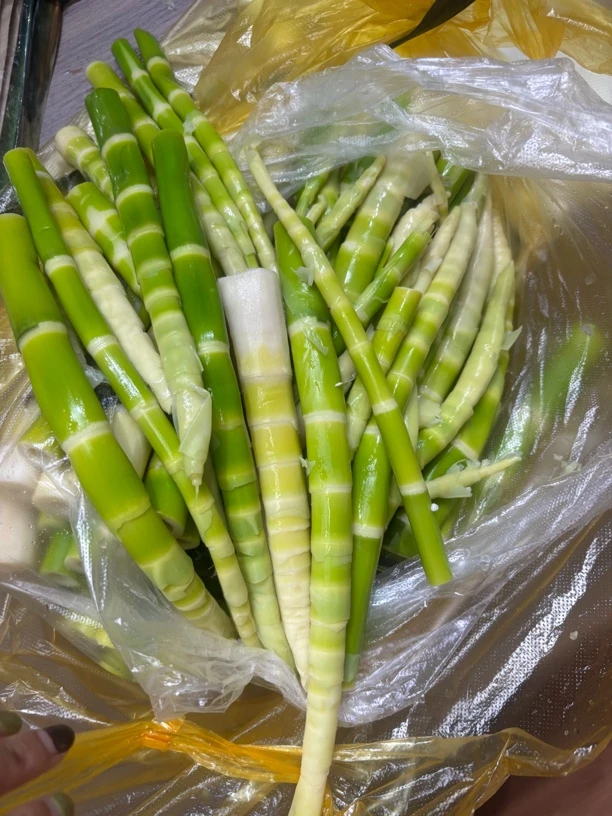 高山竹笋手剥业野竹笋