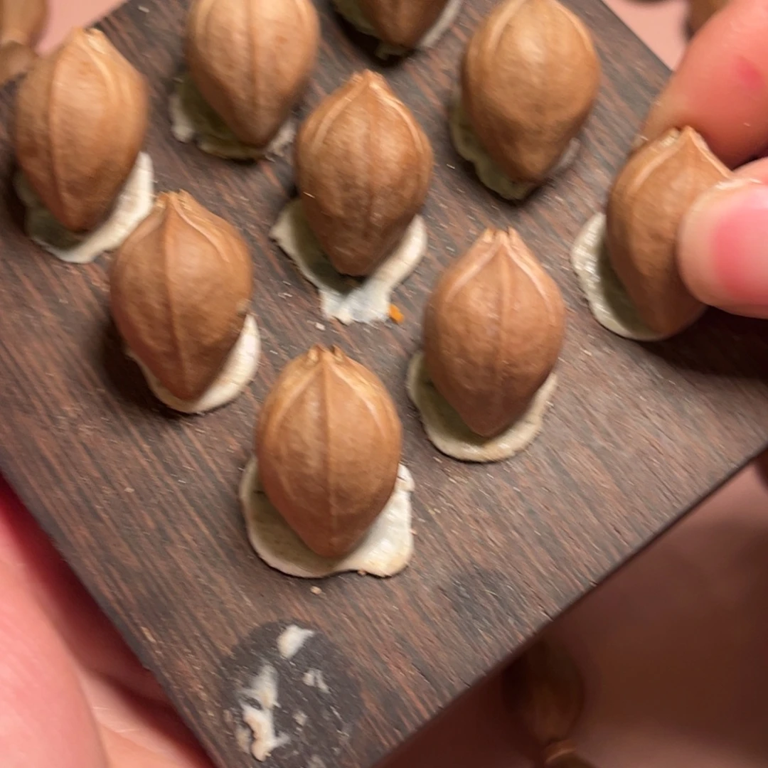 手串/手链橄榄核1725梅林铁核三花三面佛