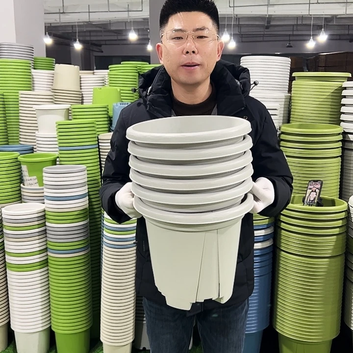 清仓青山口32高28灰白色5只无托