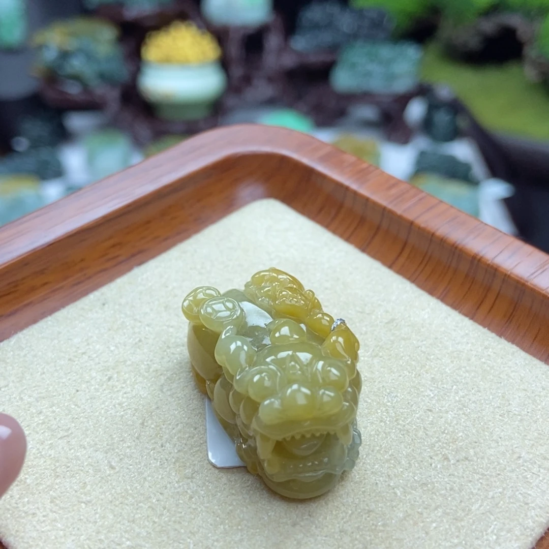 翡翠未镶嵌颈饰A9 鸡油黄子母金钱貔貅