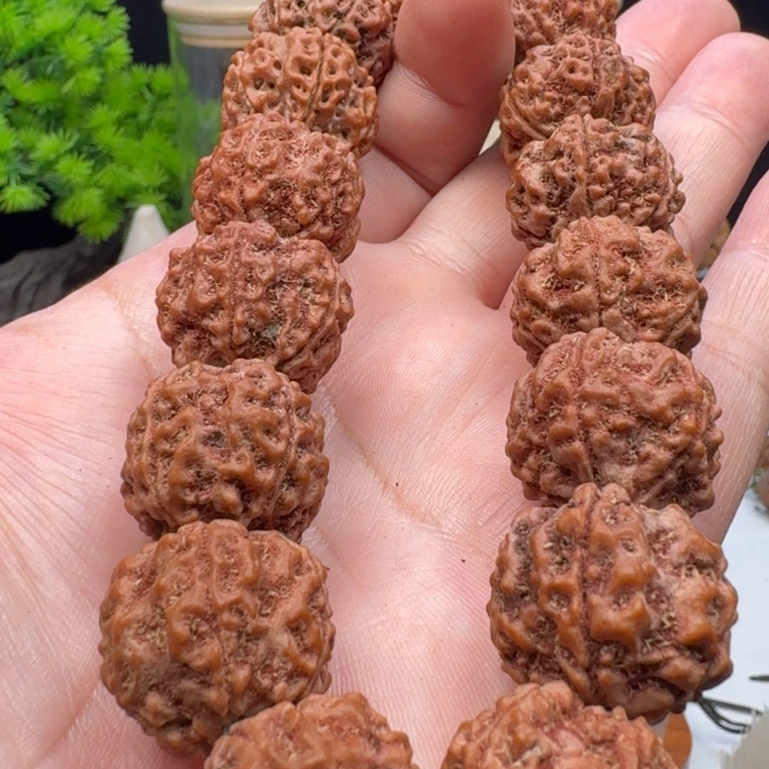 手串金刚菩提蜂王籽老树籽