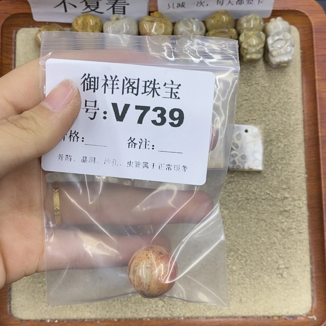硅化珊瑚（珊瑚玉）颈饰未镶嵌梓*