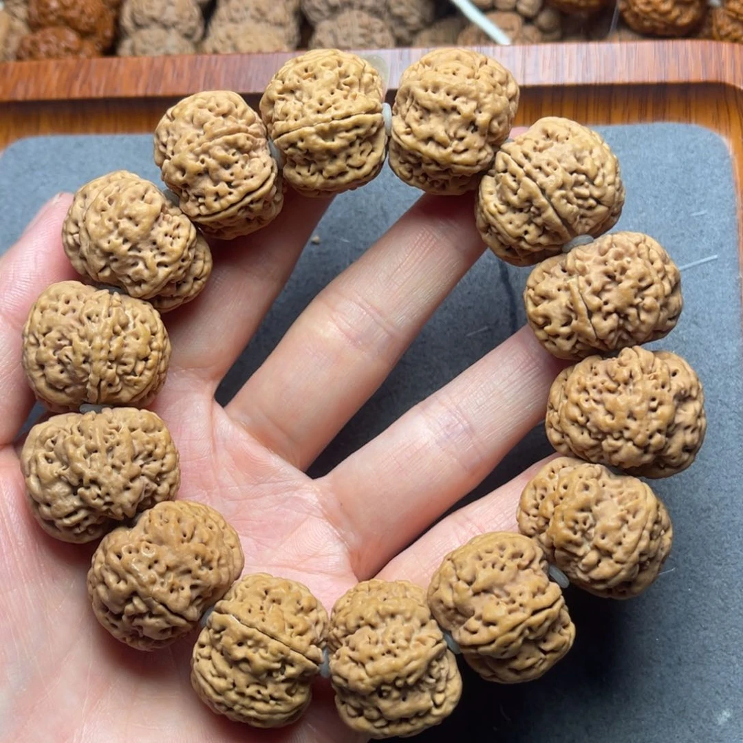 菩提王*12号金刚菩提雪花扇面六瓣24+