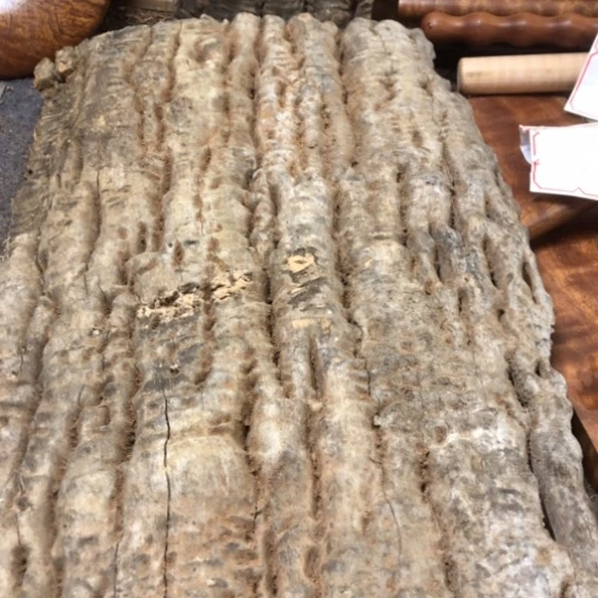 大果紫檀（缅甸花梨）大果紫檀缅甸花梨