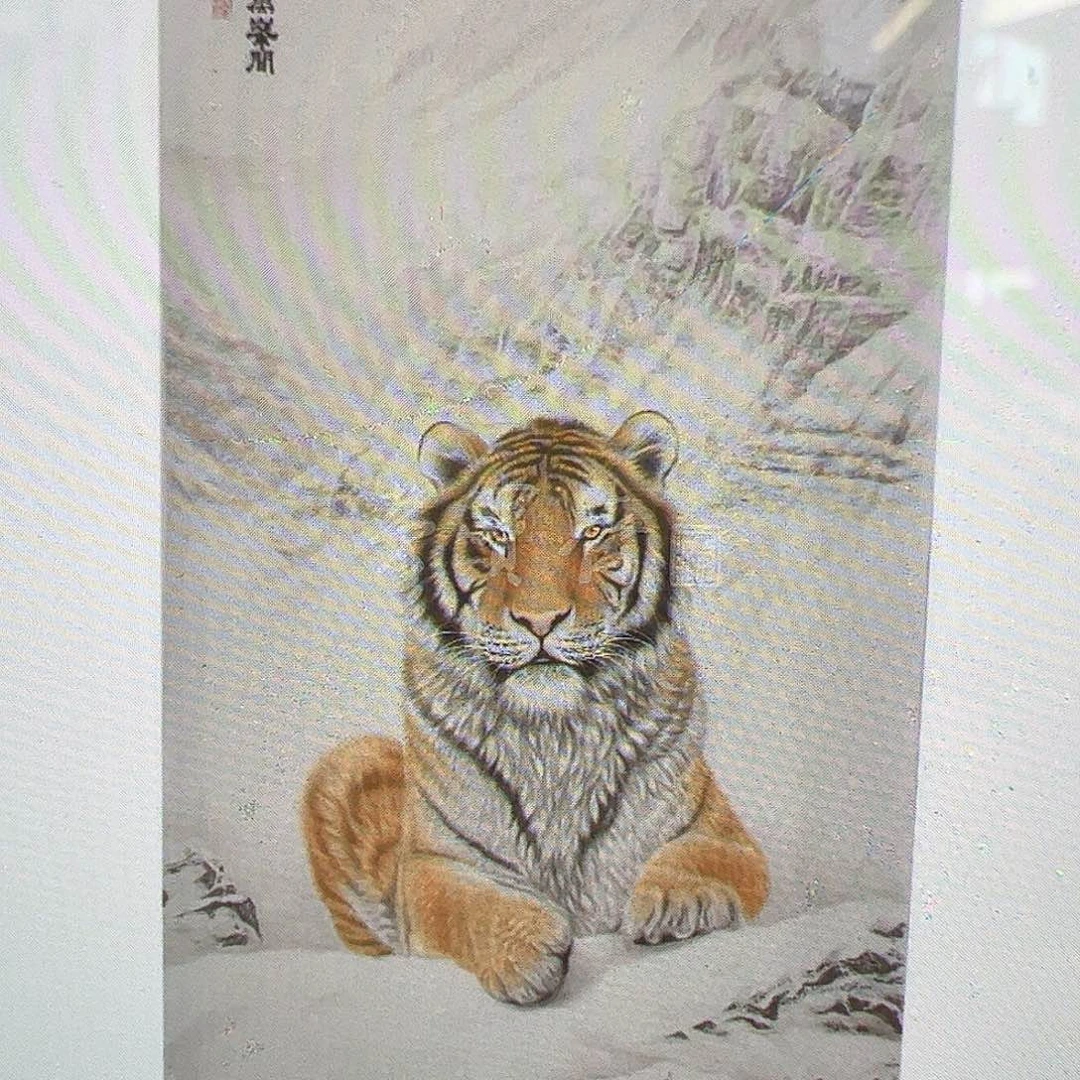 用***3纸本国画（f33779）老虎 书画