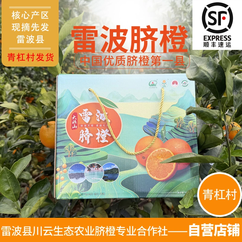 【9斤中果】四川大凉山雷波脐橙青杠村现摘现发产地直发