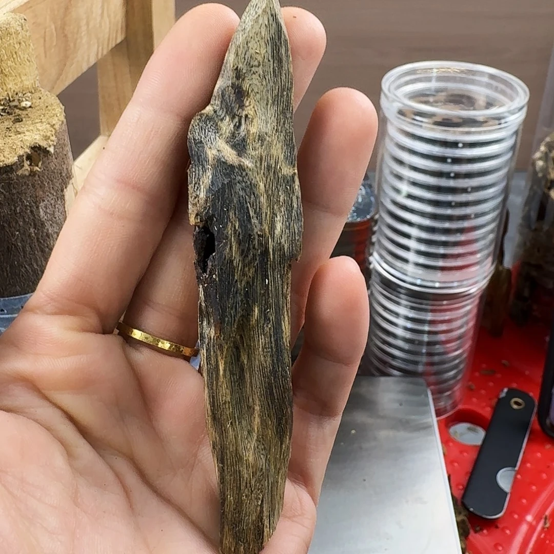 香料绿奇楠虫漏陆河8克