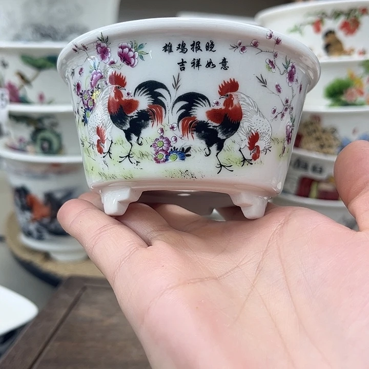 内直径9-4.5福利一只花盆