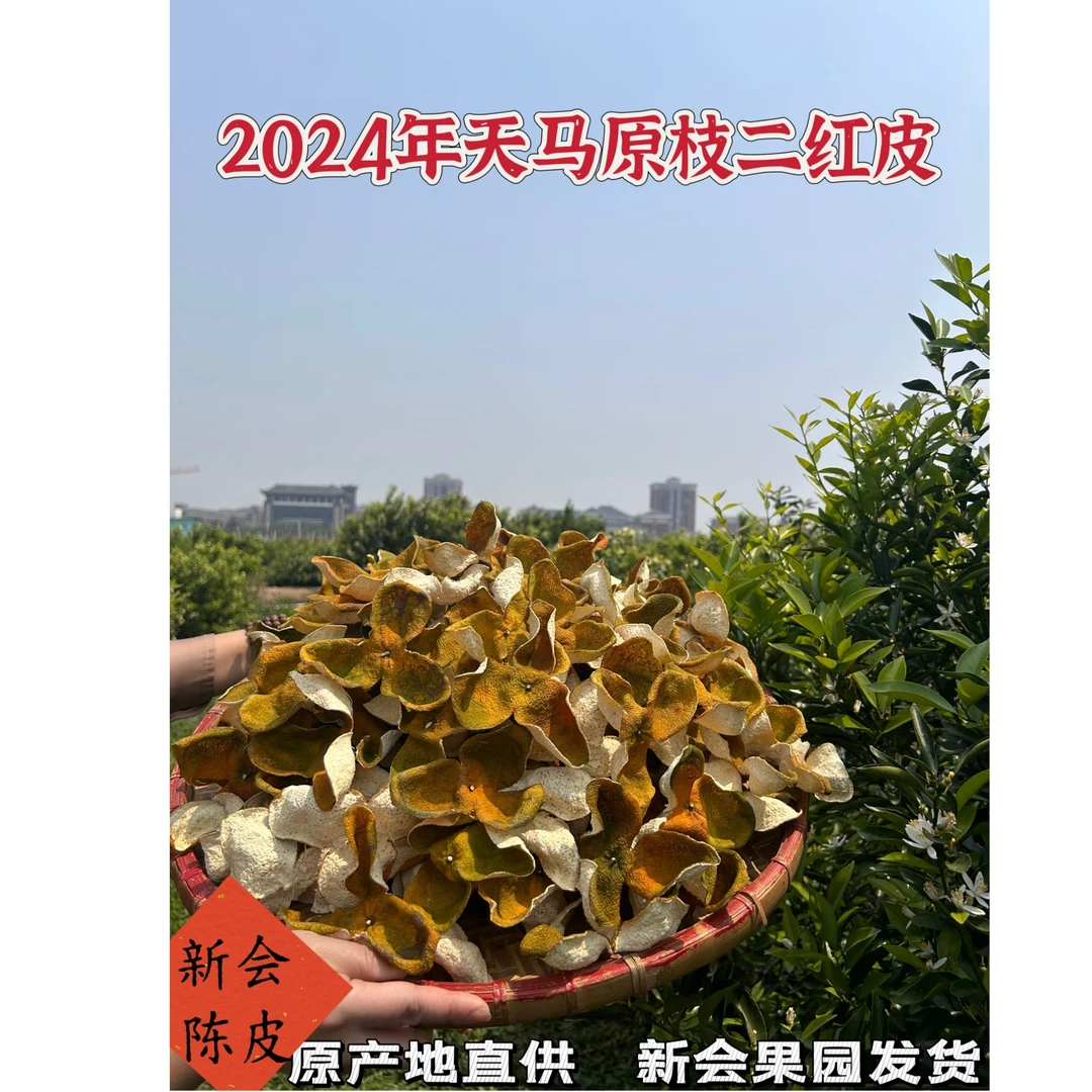2024年新会天马原枝二红皮核心产区新会陈波天然生晒干仓