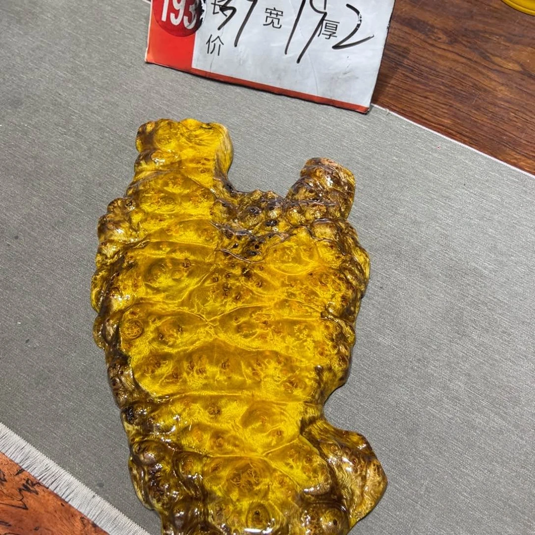 黄金樟888888888667788